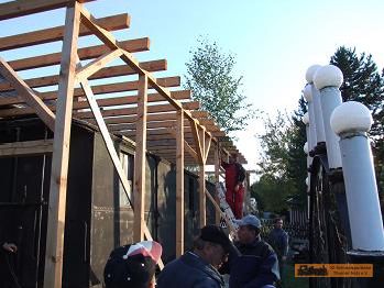 nun noch ein B�umelein