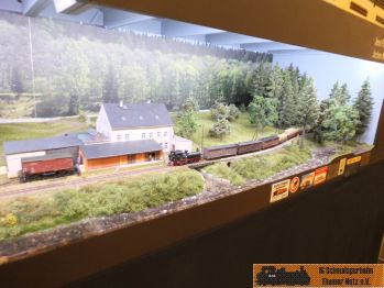 Hier mit dem Anschluss Wolf.