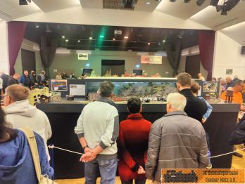 Das neue "Black Falls Waldbahndiorama" in 0n30.