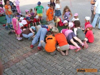 die Herolder Spatzen